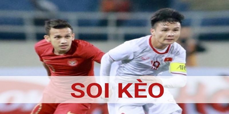 Bật mí soi cược banh bóng cho newbie Bật mí soi cược banh bóng cho newbie