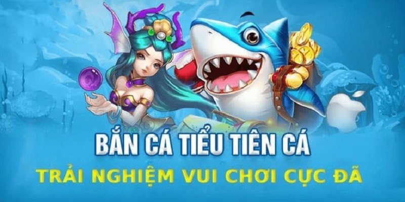 Bắn cá Tiểu tiên cá là gì? Hướng dẫn cách bắn hiệu quả 1 Đăng ký nhanh gọn khi tham gia game bắn cá