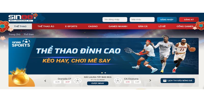 Đánh giá tiềm lực tài chính Đánh giá tiềm lực tài chính