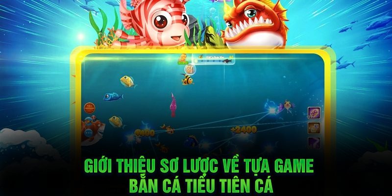 Đôi nét khái quát về Tiểu tiên cá Đôi nét khái quát về Tiểu tiên cá