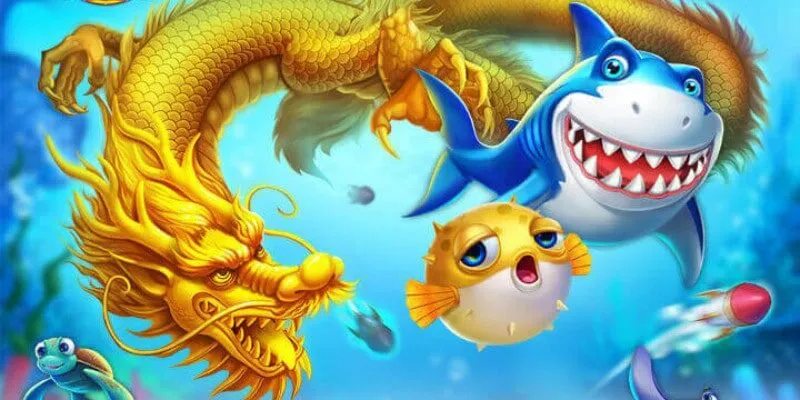 Mẹo chơi bắn cá thần rồng hiệu quả thú vị Mẹo chơi bắn cá thần rồng hiệu quả thú vị