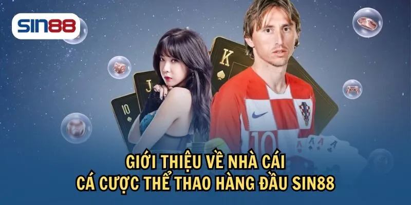 Sân chơi được thành lập ra sao? Sân chơi được thành lập ra sao?