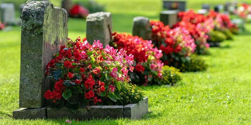 Mơ thấy mộ dự báo điều gì? Con số may mắn nào? 2 Năm mơ thấy mộ và những con số may mắn